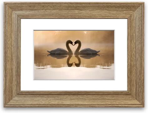 East Urban Home 'Swan Lake Love' Framed Photograph East Urban Home Size: 93 cm H x 126 cm W, Frame Options: Teak  - Size: 93 cm H x 70 cm W