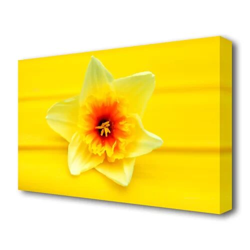 East Urban Home Daffodil Head Flowers Canvas Print Wall Art East Urban Home Size: 66 cm H x 101.6 cm W  - Size: 81.3 cm H x 121.9 cm W