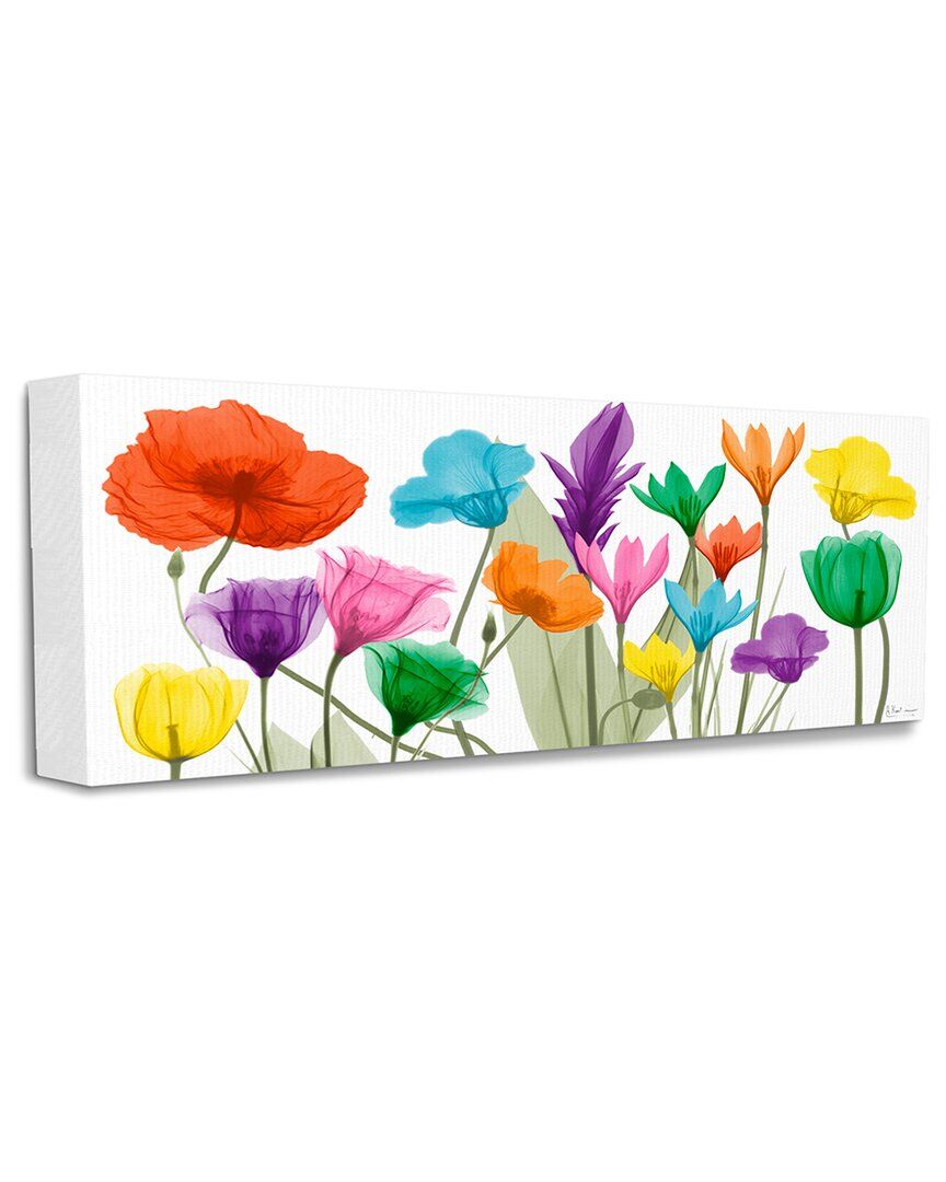 Stupell Industries Bold Spring Floral Arrangement Translucent Plant Photography Stretched Canvas Wall Art by Albert Koetsier Multicolor NoSize