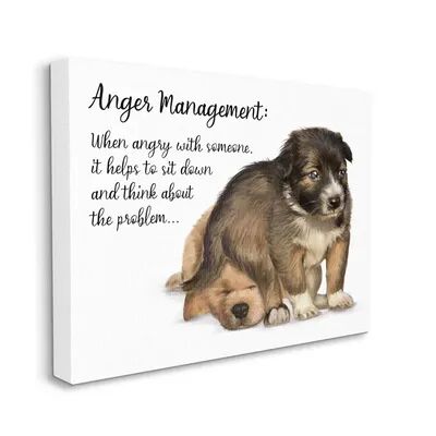 Stupell Home Decor Anger Management Advice Dog Humor Wall Art, White, 36X48