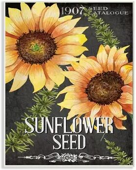 Stupell Home Decor Floral Sunflower Seed Vintage Catalog Design Wall Art, Multicolor, 13X19