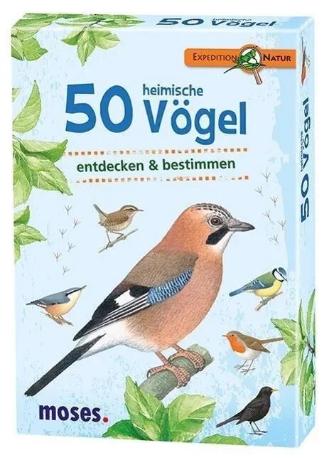 moses Verlag Kartenset