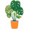 Figured’Art Mini Figured'Art Monstera