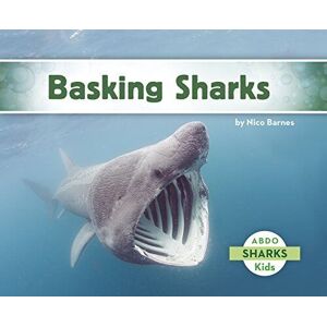 MediaTronixs Basking Sharks, Barnes, Nico