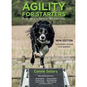 MediaTronixs Agility For Starters: From zero to …, Sellers, Connie
