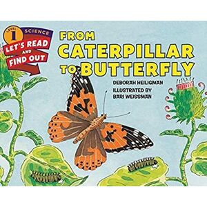 MediaTronixs From Caterpillar to Butterfly (Let’s-Read-and-Find-Out … by Heiligman, Deborah