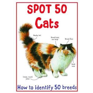 MediaTronixs Spot 50 Cats (Spot 50’s) by Camilla de la Bedoyere