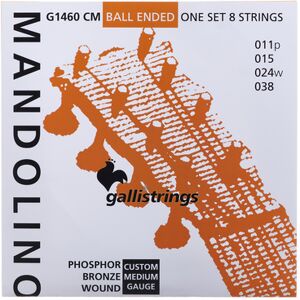 Galli Strings G1460 CM Mandolin Str. Medium