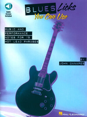 Hal Leonard Blues Licks You Can Use