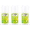 Weleda Citrus 24h Roll-On Deodorant Voordeelset