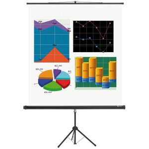 B2B Partner Projektionsleinwand mit Ständer, 2400 x 1800 mm