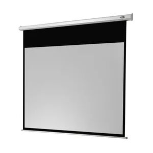 celexon Leinwand Motor Economy 300 x 169 cm