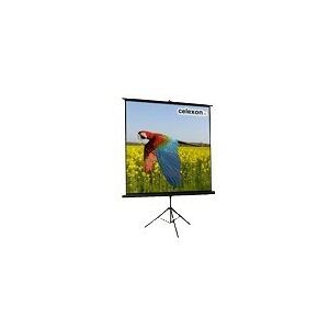 Celexon Economy tripod screen - Projektionsskærm med trebenet stativ - 78 (197 cm) - 4:3