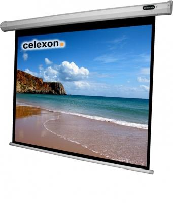 Celexon 1090071 schermo per proiettore 4:3