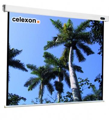 Celexon 1090086 schermo per proiettore 1:1