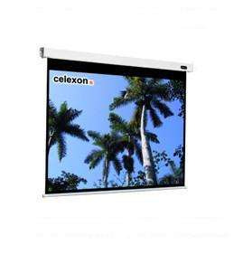 Celexon Professional 300x300cm schermo per proiettore 1:1