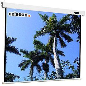 Celexon Mobil Expert 244 x 183cm schermo per proiettore 4:3