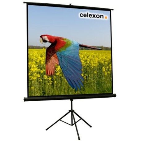 Celexon 1090015 schermo per proiettore 1:1 (1090015)