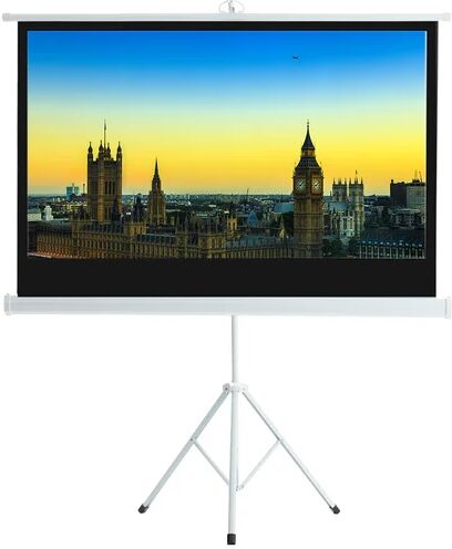 Symple Stuff Borkowski White Portable Projection Screen Symple Stuff Size: 250cm H x 221cm W x 19cm D  - Size: 1850mm H x 760mm W x 800mm D