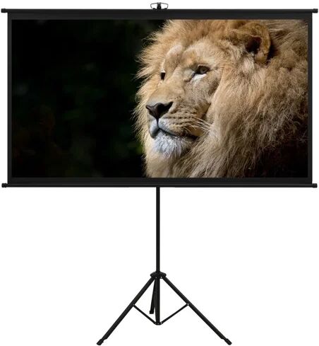 Symple Stuff Arpiar White Portable Projection Screen Symple Stuff Viewing Area: HDTV (16:9), Size: 226cm H x 205cm W  - Size: