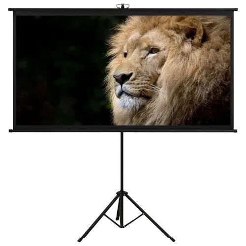 Symple Stuff Arpiar White Portable Projection Screen Symple Stuff Viewing Area: HDTV (16:9), Size: 226cm H x 245cm W  - Size: 226cm H x 226cm W