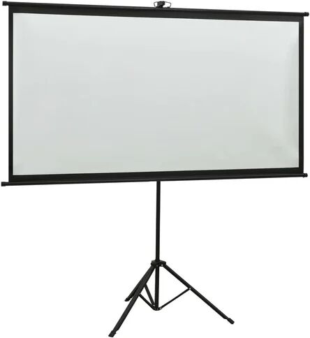 Symple Stuff Arpiar White Portable Projection Screen Symple Stuff Viewing Area: HDTV (16:9), Size: 226cm H x 245cm W  - Size: 226cm H x 125cm W