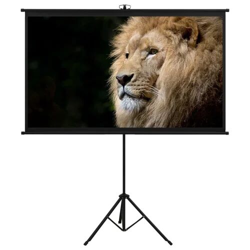 Symple Stuff Arpiar White Portable Projection Screen Symple Stuff Viewing Area: Full screen/Video format (4:3), Size: 226cm H x 126cm W  - Size: