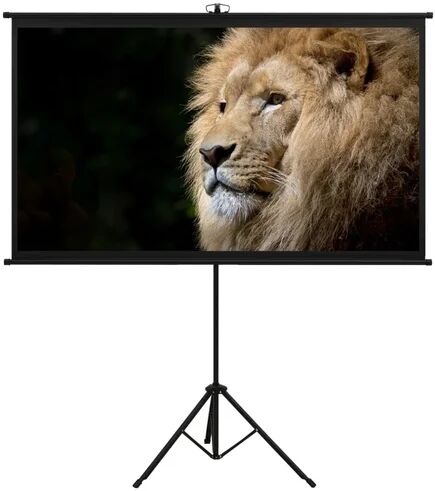 Symple Stuff Arpiar White Portable Projection Screen Symple Stuff Viewing Area: HDTV (16:9), Size: 226cm H x 164cm W  - Size: 128cm H x 170cm W x 0.2cm D