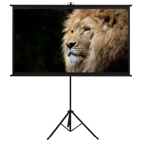 Symple Stuff Arpiar White Portable Projection Screen Symple Stuff Viewing Area: HDTV (16:9), Size: 180cm H x 191cm W  - Size:
