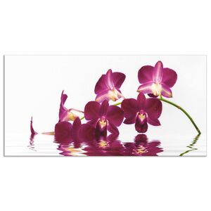 Artland Küchenrückwand »Phalaenopsis Orchidee«, (1 tlg.), Alu Spritzschutz... lila Größe