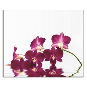 Artland Küchenrückwand »Phalaenopsis Orchidee«, (1 tlg.), Alu Spritzschutz... lila Größe