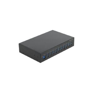 Delock - Hub - 10 x USB 3.2 Gen 1 - desktop