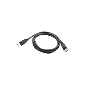 Lenovo - DisplayPort kabel - DisplayPort (han) til DisplayPort (han) - 1.8 m - for ThinkCentre M75t Gen 2  M80s Gen 3  M90a Gen 3  M90q Gen 2  M90t Gen 3  ThinkCentre neo 70