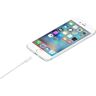 Apple - Lightning-kabel - Lightning hann til USB hann - 50 cm