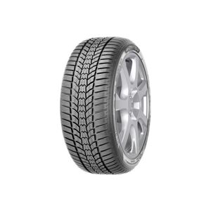 Pneus d'hiver SAVA Eskimo HP 2 225/45R17 91H