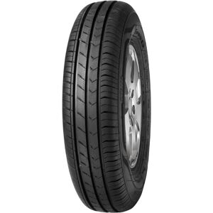 Pneu Fortuna Ecoplus HP 205/55 R 16 91 V - Ete