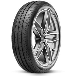 Pneu Radar Dimax Eco 195/55 R 20 95 H XL - Ete - Publicité