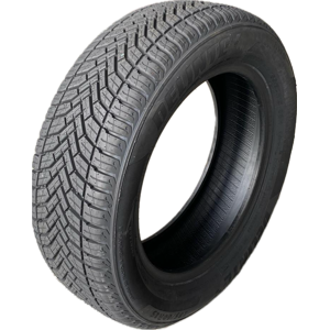 195/55 R15 85H  DELINTE AW6