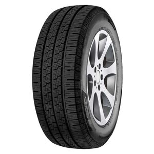 Minerva Pneumatico All Season Van Master 205/75 R 16 113 S