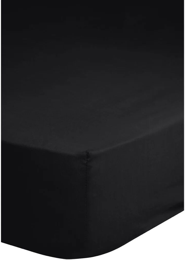 Good Morning Drap-housse en Jersey 90 / 100 x 200 cm Noir 0200.04.42