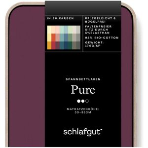 Schlafgut Spannbettlaken »PURE Bio-Baumwolle mit Elasthan, dehnbar... purple deep