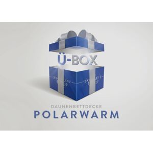 Excellent Daunenbettdecke »Überraschungsbox«, polarwarm, Füllung 90% Daunen,... bunt Größe