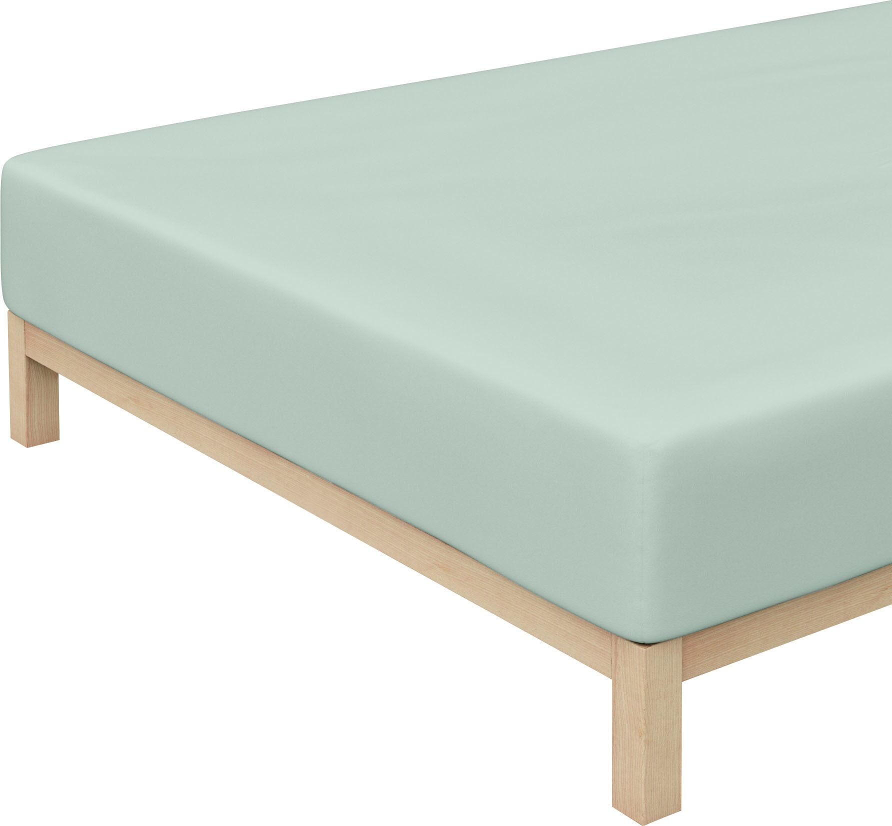 Schlafgut Spannbettlaken »Jersey-Elasthan«, (1 St.), für Boxspring grün