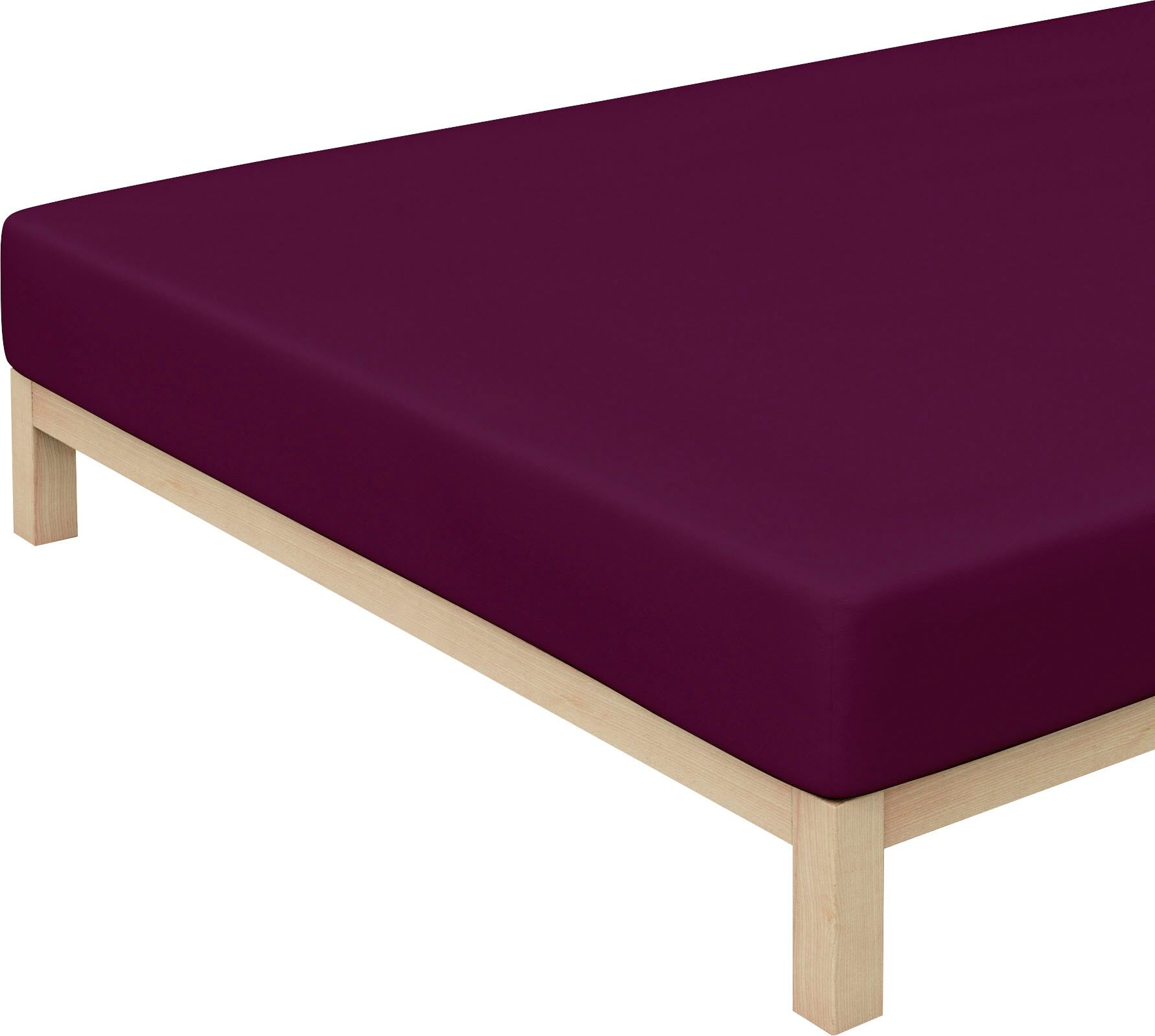 Schlafgut Spannbettlaken »Jersey-Elasthan«, (1 St.), für faltenfreien Sitz lila