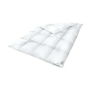 Mayaadi Home HS49 WINTER Daunendecke Bettdecke Oberbett Decke 70 % Daunen - 30 % Federn - 200x220 cm 2500g