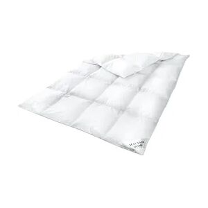 HS80 Daunendecke Bettdecke Oberbett 15 % Daunen - 85 % Federn 200x200 cm 1800g