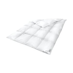 HS44 Daunendecke Bettdecke Oberbett 15 % Daunen - 85 % Federn 155x220 cm 1550g