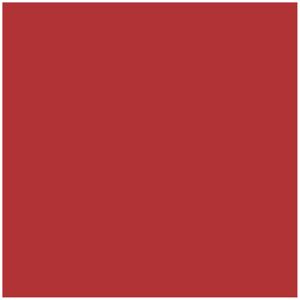 WÄSCHEFABRIK KNEER E.K. Kneer Fein-Jersey Spannbetttuch für Matratzen bis 22 cm Höhe Qualität 50 Farbe rot 140-160x200 cm