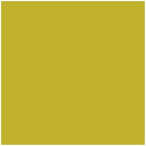 WÄSCHEFABRIK KNEER E.K. Kneer Single-Jersey Spannbetttuch für Matratzen bis 20 cm Höhe Qualität 60 Farbe lindgrün 180-200x200 cm