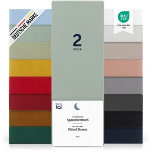 Blumtal® Spannbettlaken 200x200 Cm Aus Microfaser - Oekotex Zertifiziertes - Sehr Gut 05 - Summer Green - Grün 200 x 200 x 30cm